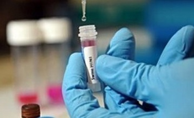 Създадоха смъртоносен щам на свинския грип 