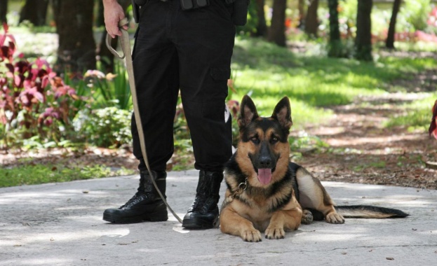 С обучено куче откриха 200 кг хероин на Капитан Андреево