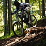 Лято 2014 е на велосипедистите, бегачите и пешеходците