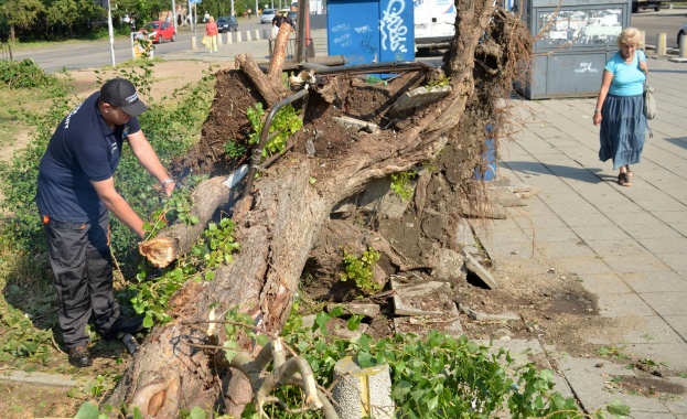 Доброволци помагат в пострадалите райони на София