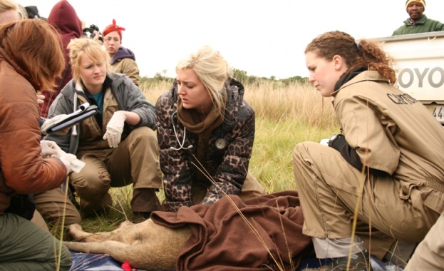 Animal Planet с три премиерни епизода през новата седмица