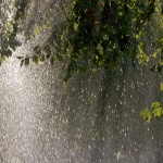 Предстоящи събития в страната за утре, 16 септември 