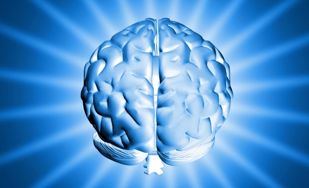 Учени откриха метод за "подмладяване" на мозъка