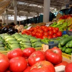Доматите и краставиците поевтиняват на едро, но сиренето и кашкавалът са с по-високи цени