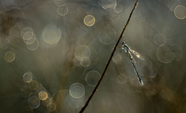 Предстоящи събития в страната за днес, 15 юли