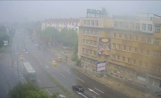 Порой удави Варна и Бургас  /видео/