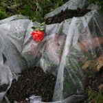 Предстоящи събития в страната за днес, 21 юли