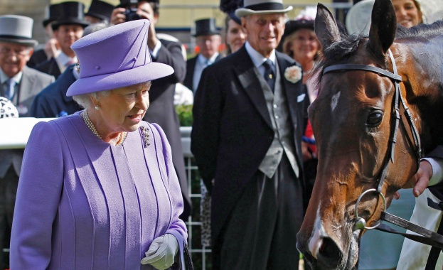 Конят на кралица Елизабет Втора – с положителен допингтест