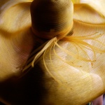 Предстоящи събития в страната за днес, 24 юли