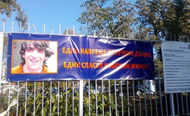 Семейството на загиналото от паднало дърво момче спечели съдебната битка