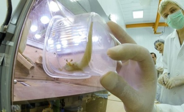 Връзката с „Фотон-М“ е изгубена