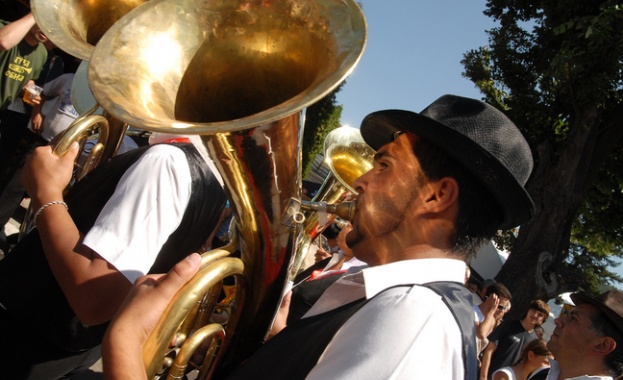 "Лудост, произведена в Сърбия" 