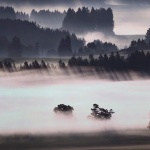 Предстоящи събития в страната за днес, 25 юли