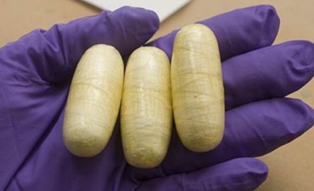 Кокаин в стомаха на муле едва не го уби по време на полет