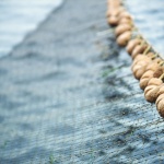 Стартира прием на проекти за скрапиране на риболовни кораби по Програмата за морско дело, рибарство и аквакултури 2021-2027