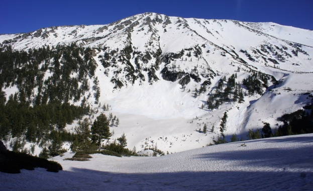 Зелените: Правителство подари 650 дка на „Юлен”