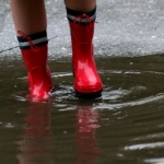 Къде, какво в страната