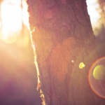 Какво, къде в страната 