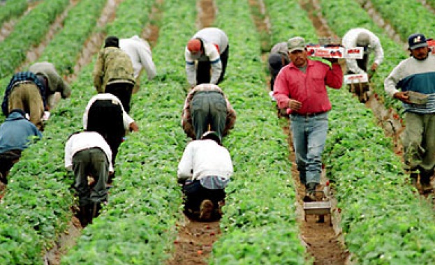 Граничар праща нелегално сезонни работници във Франция