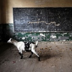 Извън големите градове вече няма реален национален живот. България умира