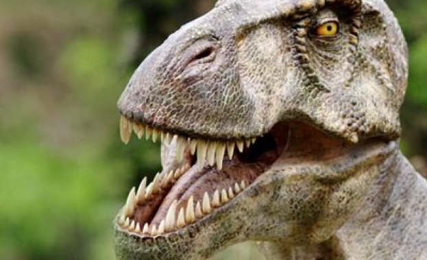 Откриха нов вид динозавър, живял преди 100 млн. години 