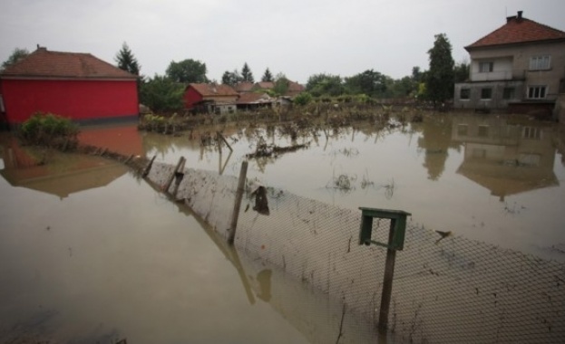 Реколтата в Мизия е отровена 