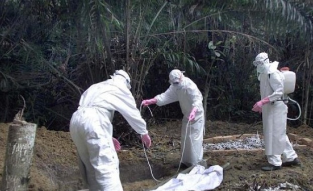 Камерун затвори границите си с Нигерия 