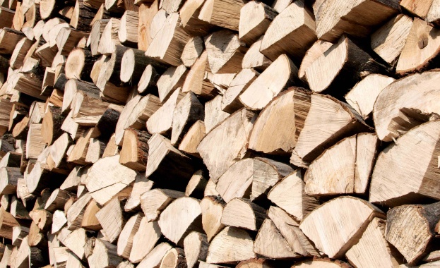 Цените на дървата за огрев няма да бъдат повишени