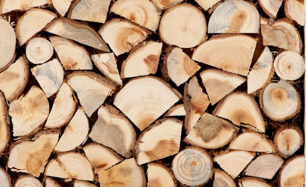 Кметовете ще бъдат уведомявани за добива на дървесина в населеното място