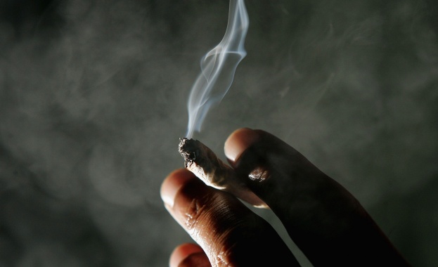 От Агенция Митници отчитат бум на задържаната марихуана от миналата