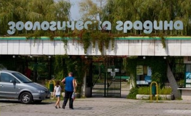 Зоологическата градина в София с безплатен вход
