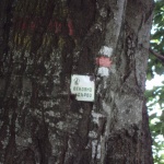 Почистват и обновяват маркировката в Национален парк Рила