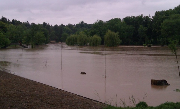 Почвите в пострадалия от наводнението Добрич са чисти