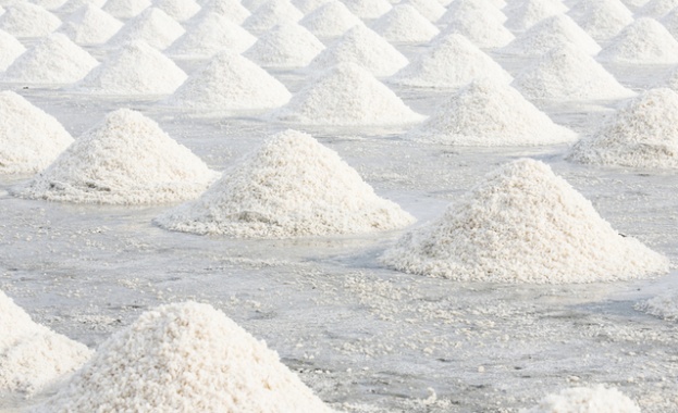 Фестивал на солта започва в петък в Бургас 