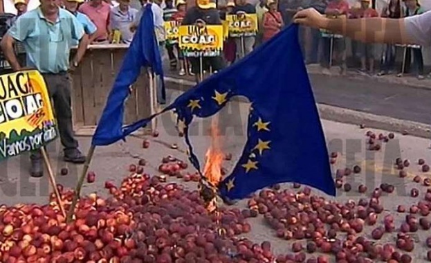 Руските санкции за плодовете и зеленчуците ще струват на ЕС 7.4 млрд. долара