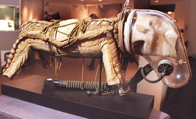 Продават на търг космонавтския костюм на кучето Лайка