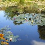 Предстоящи събития в страната за днес, 2 септември