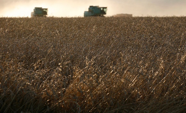 Цените на руската пшеница се вдигнаха заради рекорден износ