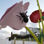 Рождениците днес