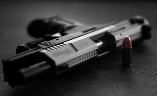 Чехия планира да разреши използването на лично оръжие срещу терористи