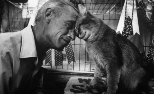 Трябва ти само един лъч светлина, за да прогониш сенките