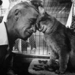 Трябва ти само един лъч светлина, за да прогониш сенките