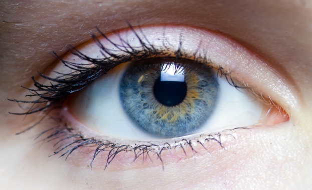 Италиански учени работят върху имплант за ретина, който може да върне зрението