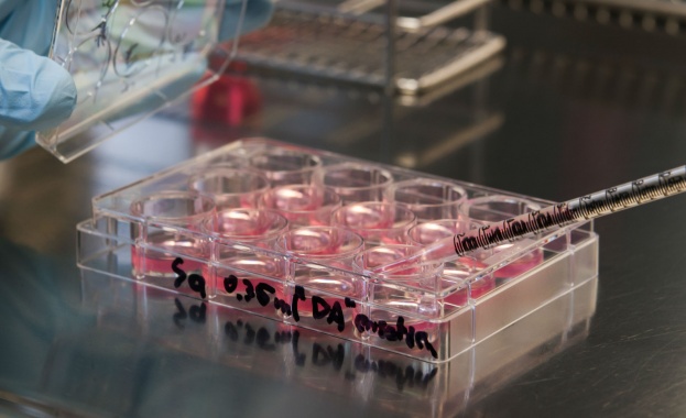 Безплатни изследвания за хепатит в Бургаска област