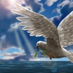 Да имаш кураж не значи да не се страхуваш - това значи...