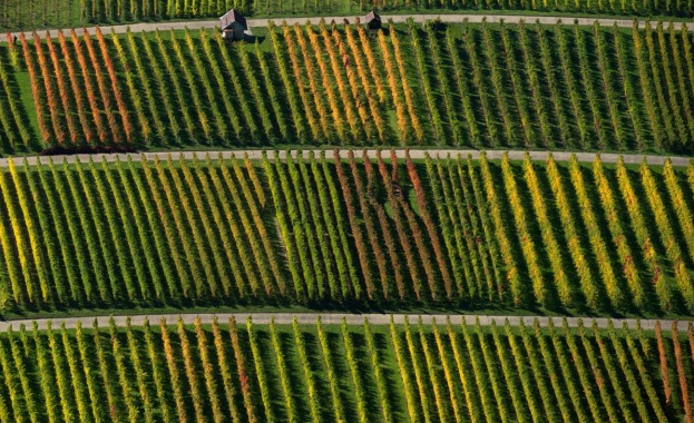 Български сезонни работници живеят при нечовешки условия в Италия