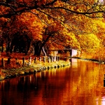  Предстоящи събития в страната за утре, 22 октомври 