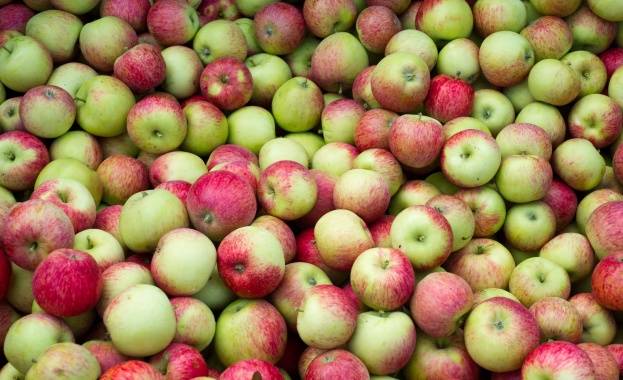 По магазините ни предлагат полски ябълки от миналата година