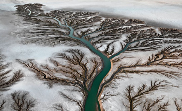 Горичка Филм Фест 2014: 9 - 15 октомври