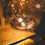 Предстоящи събития в страната за утре, 20 ноември 